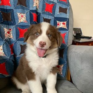 Meet your Posher, Heather